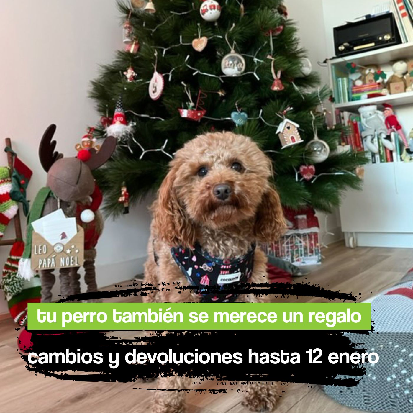 portada ciber monday mobile