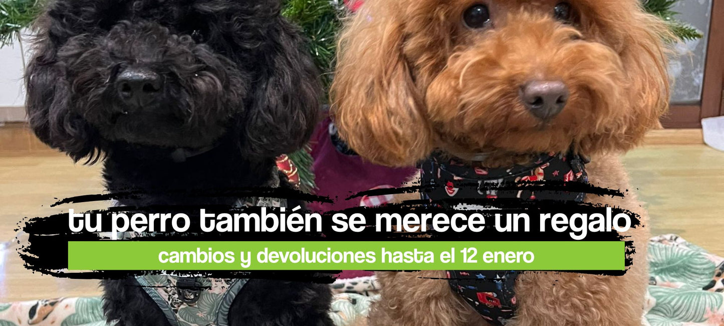 portada ciber monday web