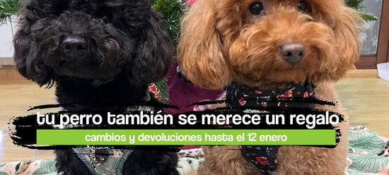 portada ciber monday web