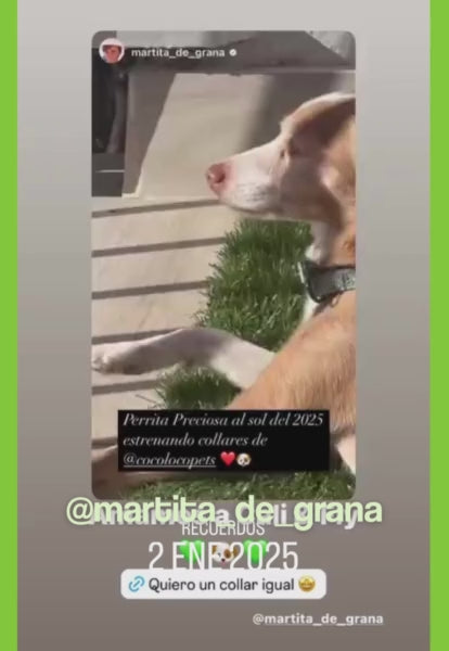 Cargar y reproducir el video en el visor de la galería, martita grana avocado
