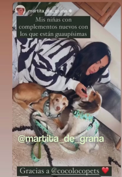 Cargar y reproducir el video en el visor de la galería, martita_safari_avocado_video
