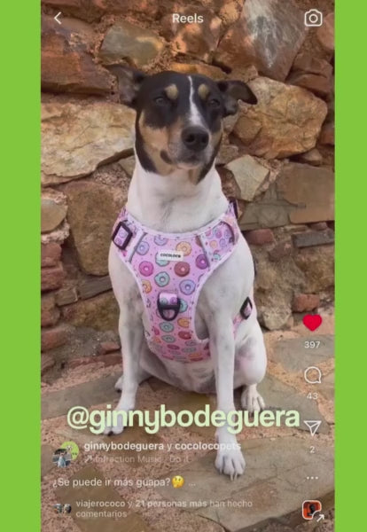 Cargar y reproducir el video en el visor de la galería, ginnybodeguera nam nam
